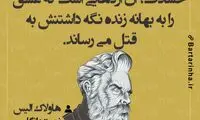 هایلایت (394)