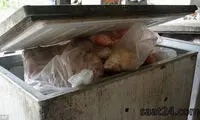 سرو گوشت ببر وحشی در تایلند +عکس