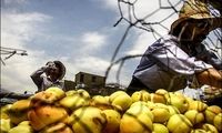 عکس ؛ گرمای هوا در تهران