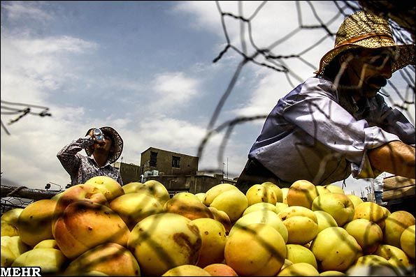 عکس ؛ گرمای هوا در تهران