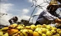 عکس ؛ گرمای هوا در تهران