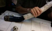 ترسناک‌ترین موجودات غول پیکری که تا به حال دیده شده اند