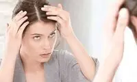 قیمت اسکالپ و هرآنچه باید بدانید