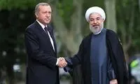 عکس: دیدار روحانی با «رجب طیب اردوغان»