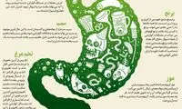 اینفوگرافی؛ غذا‌های مناسب برای معده‌های حساس