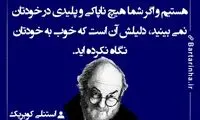 هایلایت (328)