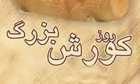 ۷ آبان؛ روز کوروش کبیر