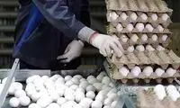 قیمت هر شانه تخم‌مرغ به ۶۰هزار تومان رسید