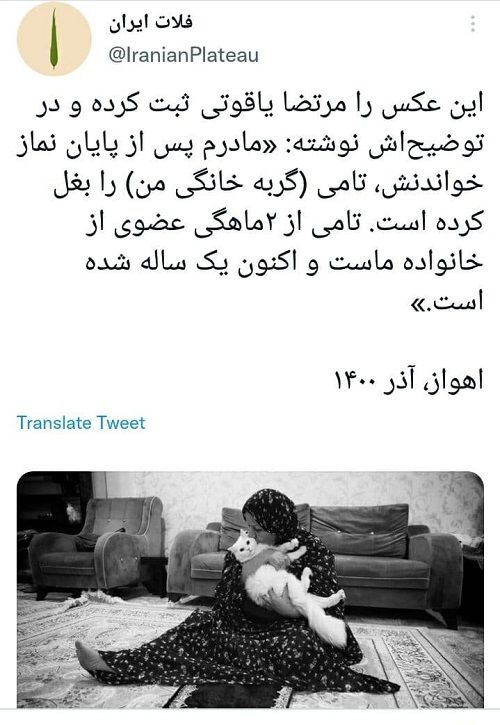 مادری که بعد از نماز، گربه‌اش را بغل می‌کند