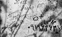 خرید و فروش کلیه در کنار خیابان... / عکس