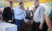عکس: خواننده مشهور در کشتارگاه!