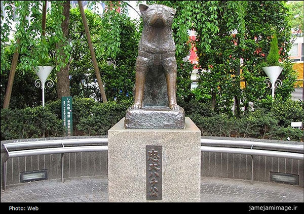 ماجرای مجسمه یک سگ در ژاپن!