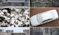 تصاویری از بارش برف بهاری در ابهر