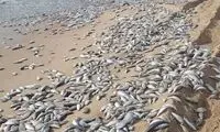وضعیت ساحل چابهار بعد از طوفان حاره‌ای