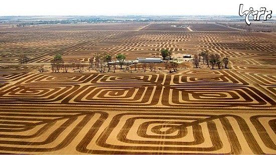 مبارزه هنرمندانه کشاورز استرالیایی با فرسایش خاک