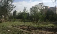 «باغ برره» در آستانه نابودی است