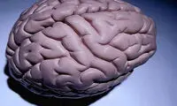 مرمت مغز به سبکی تازه!