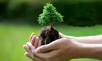 ویدیو ناراحت کننده‌ای که در روز درختکاری وایرال شد