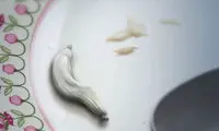 کنایه سنگین به سرانجام گرانی برنج در ایران