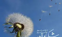 مینی شعر (381)