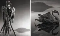 دریاچه‌ای مرموز که موجودات زنده را سنگ می‌کند!