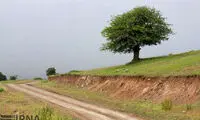 عکس: طبیعت زیبای منطقه ییلاقی رودبار‎