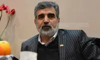 واکنش کمالوندی به تحریم صالحی