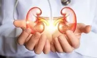 ۷ نوشیدنی برای پاکسازی کلیه‌ها به طور طبیعی