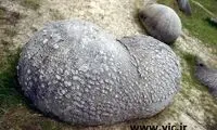 سنگ های عجیبی که رشد می کنند! +عکس