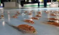 عصبانیت مردم ژاپن از منجمد کردن 5000 ماهی