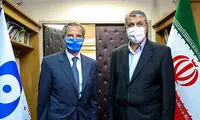 گروسی با رئیس سازمان انرژی اتمی دیدار کرد
