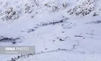 «نان دام مرگ تو شده»‌ اِی کولبرا