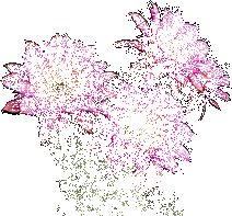 8 تصویر متحرک از لحظه شکوفایی گل روی کاکتوس توتیا