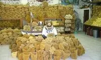 غواصان مرجان در یونان