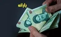 رونمایی نیکزاد از دو راهکار جایگزین ارز ترجیحی