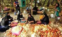 تهیه رب انار در باغملک به روایت تصویر