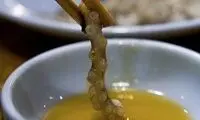 غذاهای چندش‌آور اما مقوی +عکس