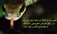 موج اهانت ها به «نفیسه روشن» رسید