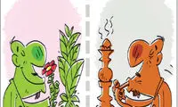 کارتون: قلیان‌ ها را گلدان کنیم!