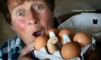 تخم مرغ عجیب و غریب +عکس