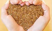 دانه‌های شکم لاغر کُن!