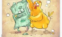 مرغ از دلار هم جلو زد!