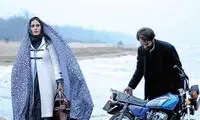 «الناز شاکردوست» جایزه گرفت