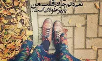 مینی شعر (181)