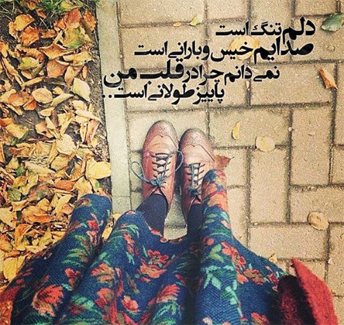 مینی شعر (181)