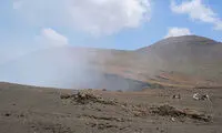لانه‌سازی زنبوری عجیب در میان آتشفشان فعال!