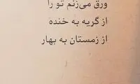 مینی شعر (233)