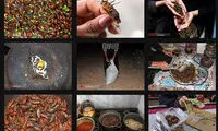 یک پرس «جیرجیرک سرخ شده»؛ 5 هزار تومان
