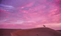 عکس روز نشنال جئوگرافیک؛ یک روز جدید