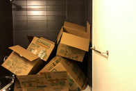 اجسام پنهان شده در این تصاویر را پیدا کنید